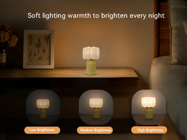 Vivilumens Novelty Flower Night Light for Kids